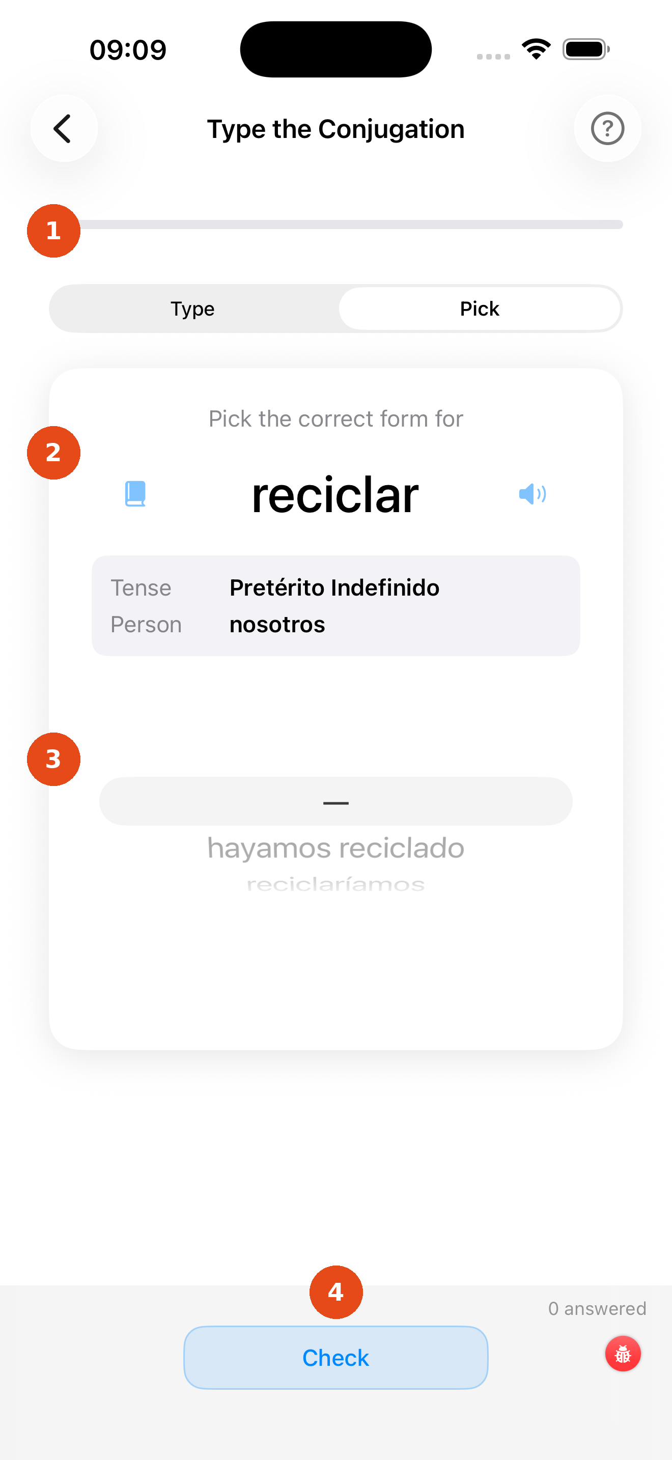 Conjugation Drill – Pick